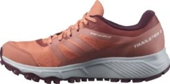 SALOMON TRAILSTER 2 GTX PERSIMON Chaussures Trail Salomon